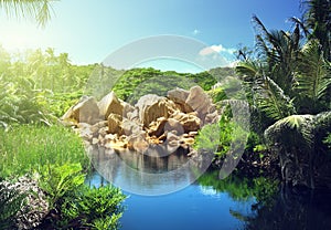 Lake in jungle of Seychelles