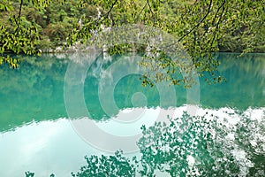 Lake Kaliderovac behind branches of trees on Plitvicka Jezera in Croatia