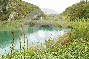 Lake Kaliderovac with grass and other water plants on Plitvicka Jezera in Croatia