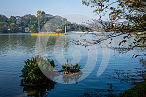 Lake in Kandy, Sri Lanka