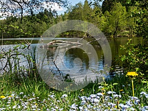 Lake in Kaszuby surrounded by the trees.Poland.