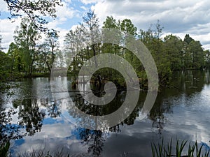 Lake in Kaszuby surrounded by the trees.Poland.