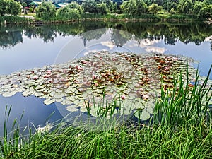 Lake in Kazka City Park in Sumy, Ukraine