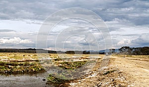 Lake of kenia with suv cars