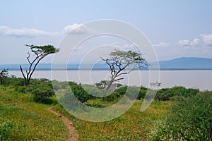 Lake in Kenya