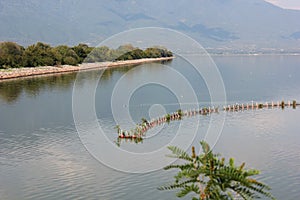 Lake of Kerkini Serres Greece photo