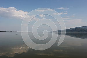 Lake of Kerkini Serres Greece Europe photo