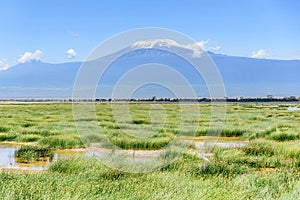 Lake with Kilimanjaro Mount in the background, Kenya