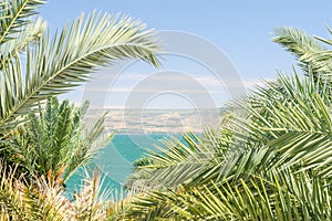 Lake Kinneret or Sea of Galilee in the frame of palm fronds photo