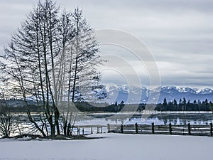 Lake Kirchsee in winter