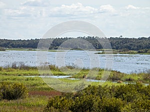 Lake Kissimmee  Florida  Water  Nature