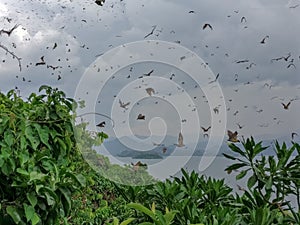 Lake Kivu, Rwanda africa