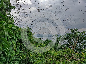 Lake Kivu, Rwanda africa