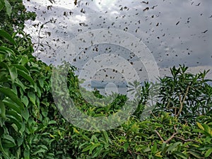 Lake Kivu, Rwanda africa