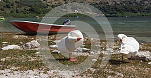 The Lake Kourna Crete.