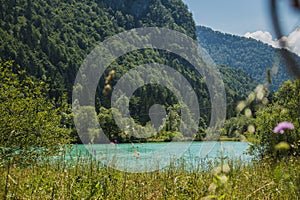 Lake Kreda in Radovna valley