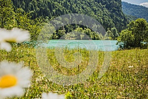 Lake Kreda in Radovna valley