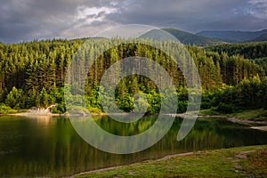 Lake Krinec, Bansko