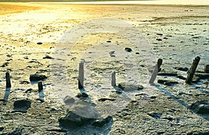 Lake Kuyalnik dried mud