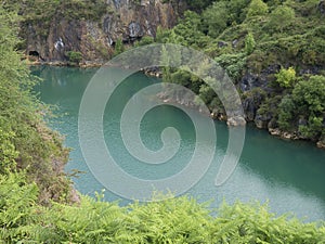 Lake of La Arboleda Bizkaia photo