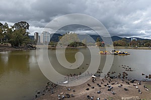 Lake at the La Sabana Metropolitan Park San Jose, Costa Rica