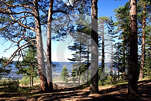 Lake Ladoga photo