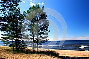 Lake Ladoga. A beach. photo