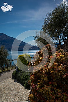 Lake - Lago di Como. Lush garden and view of the Northern part of the lake.