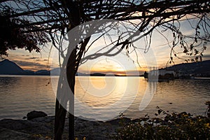 Lake - Lago Maggiore, Italy: Surise light seen from Isola dei Pescatori