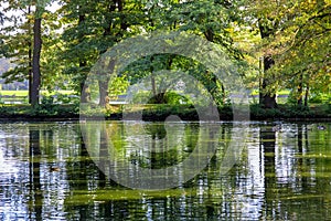 Lake landscape