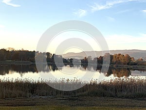 Lake landscape on a clear autumn day with galingale