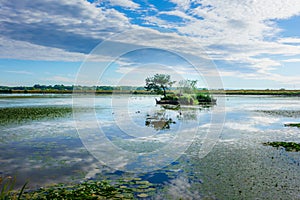 Lake landscape early in the morning with clouds and island with tree in the lake