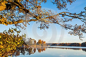 Lake landscape at fall