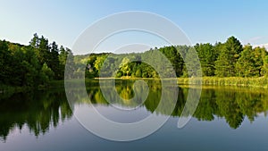 Lake landscape and forest