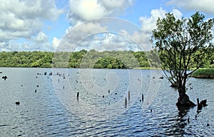 Natur Waasser ëmwelt an 