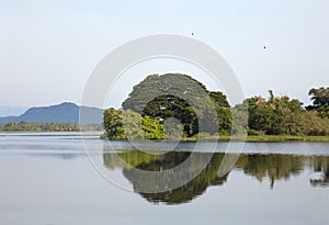 Lake landscape - green trees with water reflection