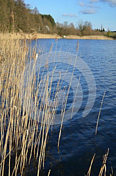 Lake landscape viev sunny day blue cloudy sky