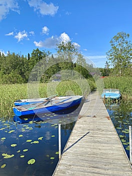 Lake landscape with water lilies, green grass and blue sky, wooden bridge and blue boat.Ladoga lake