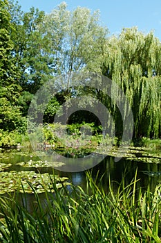 Lake in landscaped gardens