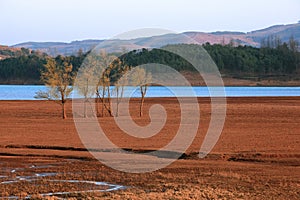 Lake landscapes