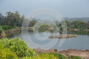 Lake in the Lecoq Zoological Park in Montevideo,the capital of Uruguay. photo