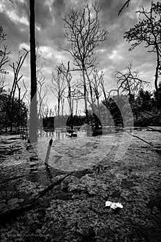 Lake Lenexa - Kansas