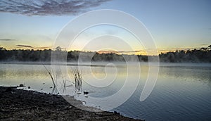 Lake Leschenaultia Reflections