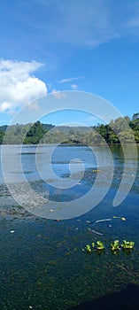 lake loch mere aquaticplants water green sky blue mountain forest