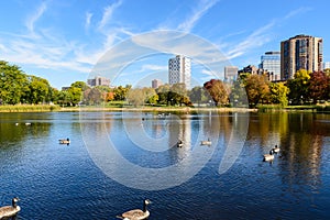 Lake in Loring Park, Minneapolis