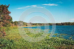 Lake Lotus Park a local nature park in Altamonte Springs, Florida