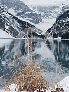Lake Louise in winter