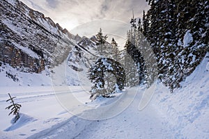 Lake Louise winter trail. Beautiful scenery in Banff National Park