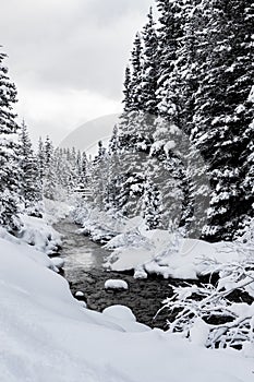 Lake Louise is a winter wonderland. Banff National Park Alberta Canada