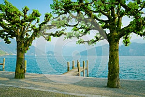 Lake Lucerne, Switzerland. Weggis wooden pier and trees.